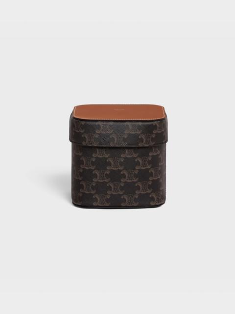 CELINE Medium Box in Triomphe Canvas and Calfskin