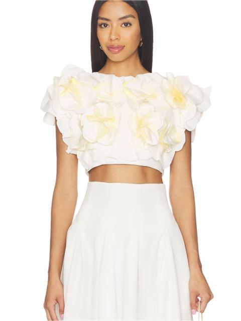 Acler Jackhill Top