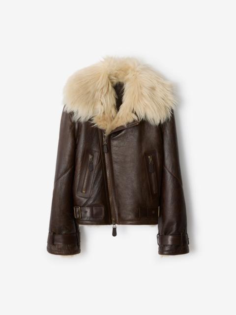 Burberry Cropped Shearling Aviator Jacket