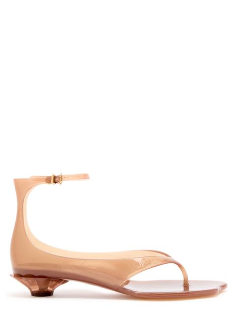 Chloé Chloe Jelly 25 Thong Sandals