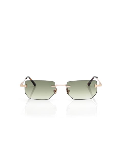 TOM FORD ETHAN SUNGLASSES