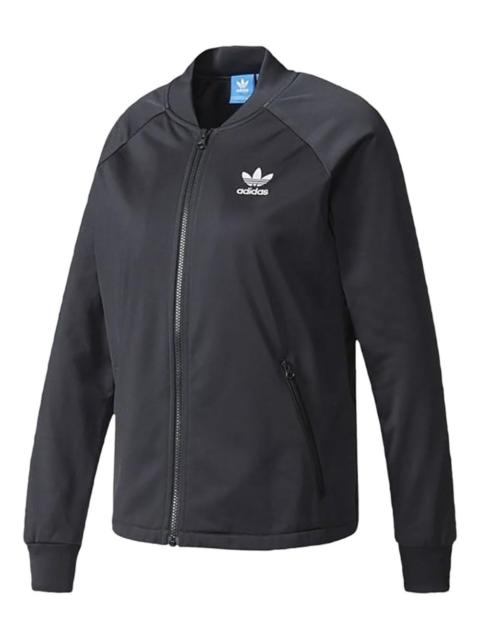 adidas Info Poster Superstar track jacket