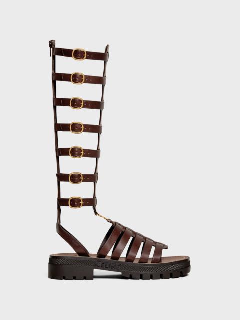 CELINE CLEA UNDER THE KNEE GLADIATOR SANDAL in CALFSKIN & VEGETAL TANNING