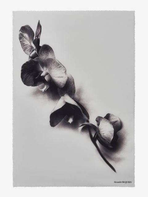 Alexander McQueen Women's Orchid Stem Shawl in Ivory/black