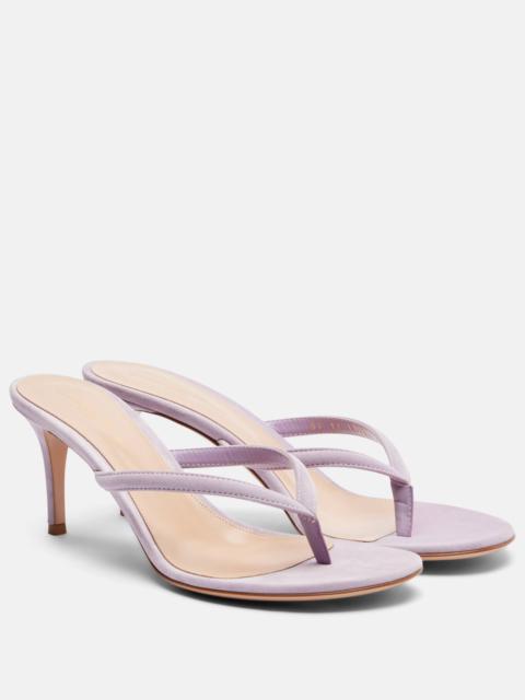 Gianvito Rossi Calypso suede thong sandals