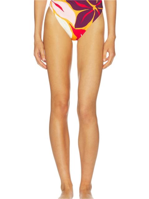 CALA de la CRUZ Lulu Bikini Bottom