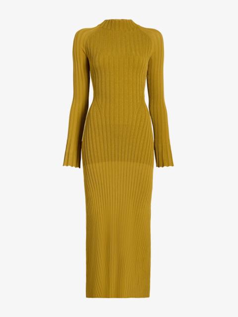 Proenza Schouler Roux Dress in Viscose Silk Rib