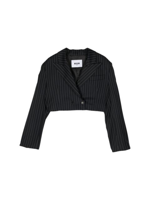 pinstripe cropped blazer