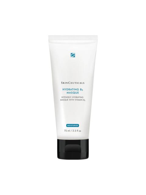 SkinCeuticals Hydrating B5 Masque