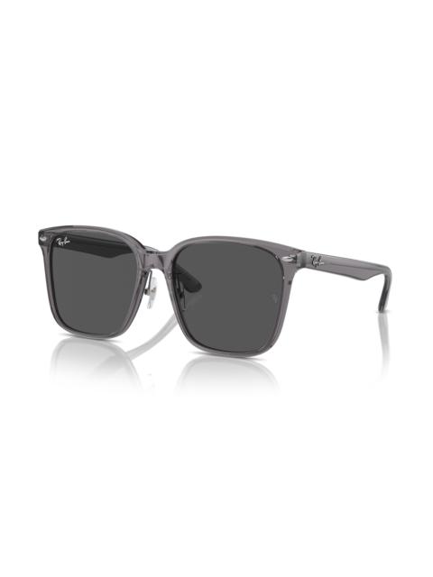 Ray-Ban RB2206D