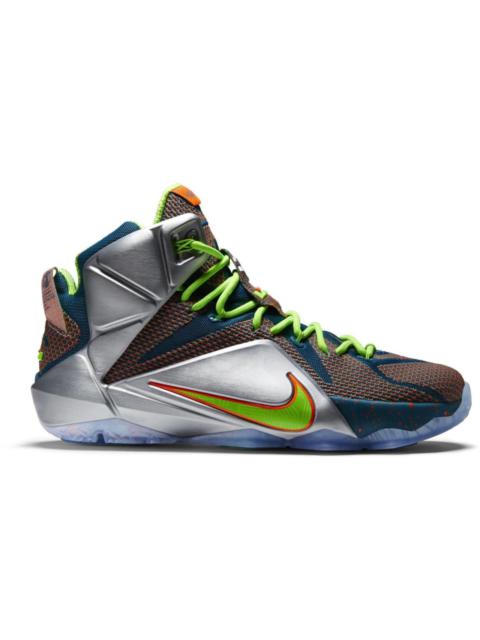 Nike LeBron 12 Trillion Dollar Man