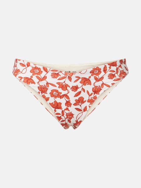 SIR. Chloe floral bikini bottoms